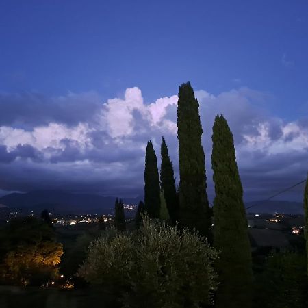 Villa The Green Door - Casa Vacanze Vicino A Roma Fonte Nuova Buitenkant foto